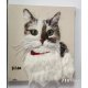 KİŞİYE ÖZEL KEDİ PANO 45*45 KEÇE KİŞİYE ÖZEL KEDİ PANO 45*45 KEÇE