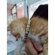 KEDİ TASMASI/KİŞİSELLEŞTİRİLEBİLİR