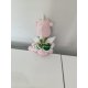 DİNO OYUNCAK-PEMBE 23CM